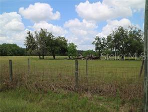 11819 Tarpon Springs Road, FL
