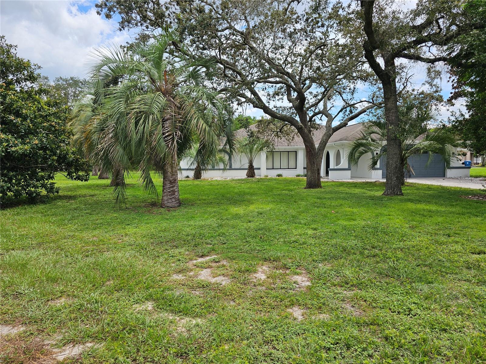 10186 Sleepy Willow Court, FL