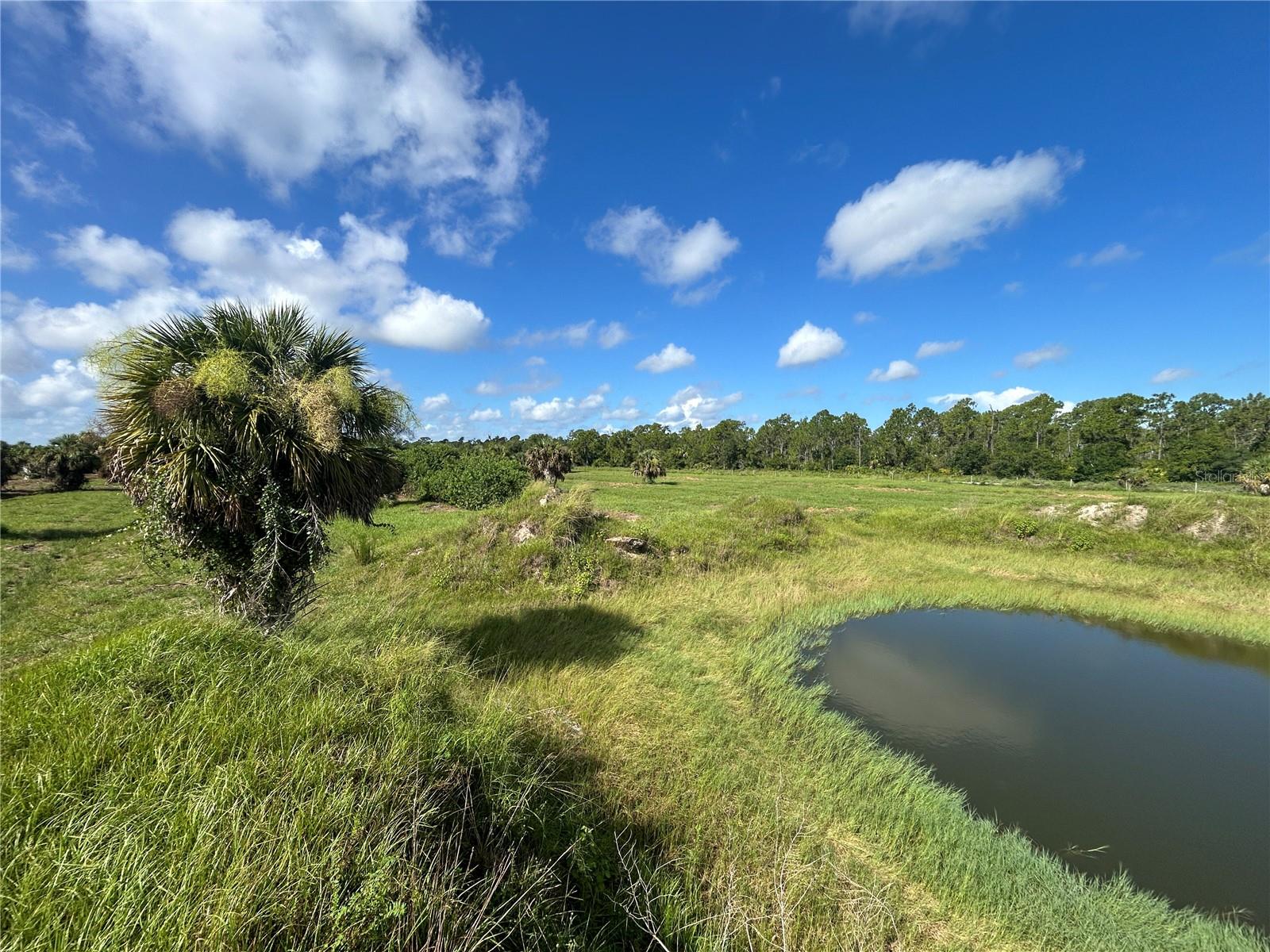 7058 Grove Boulevard, FL