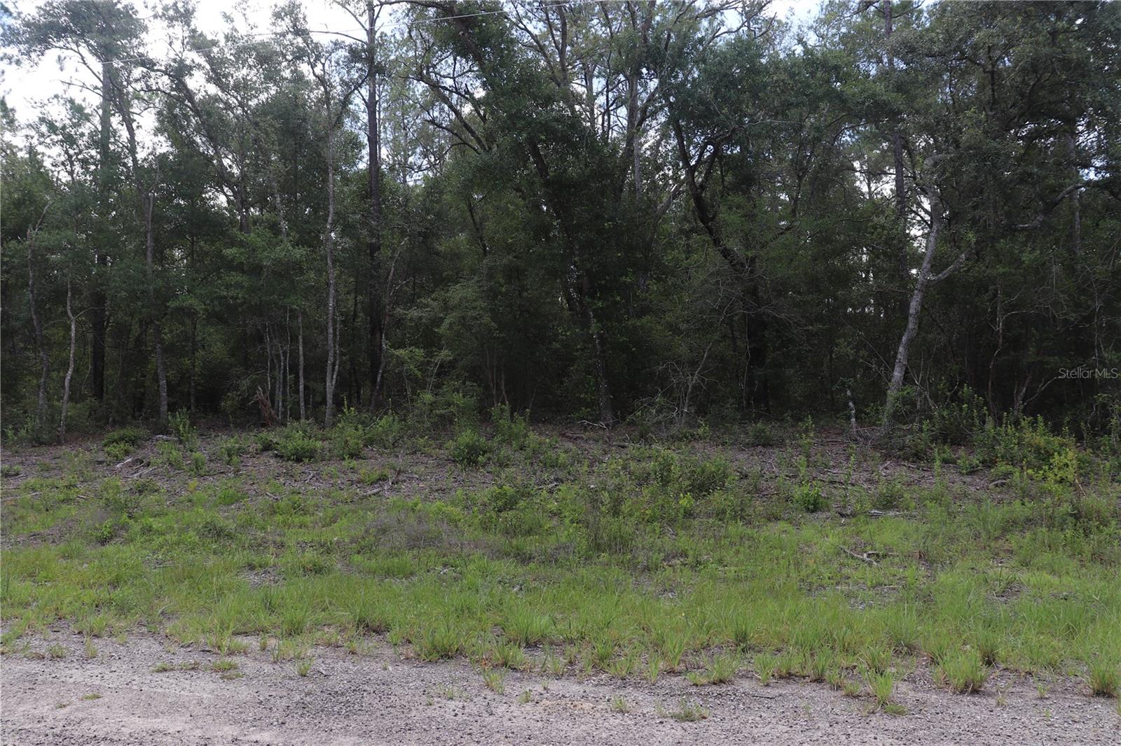 653 Vercelli Lane, FL