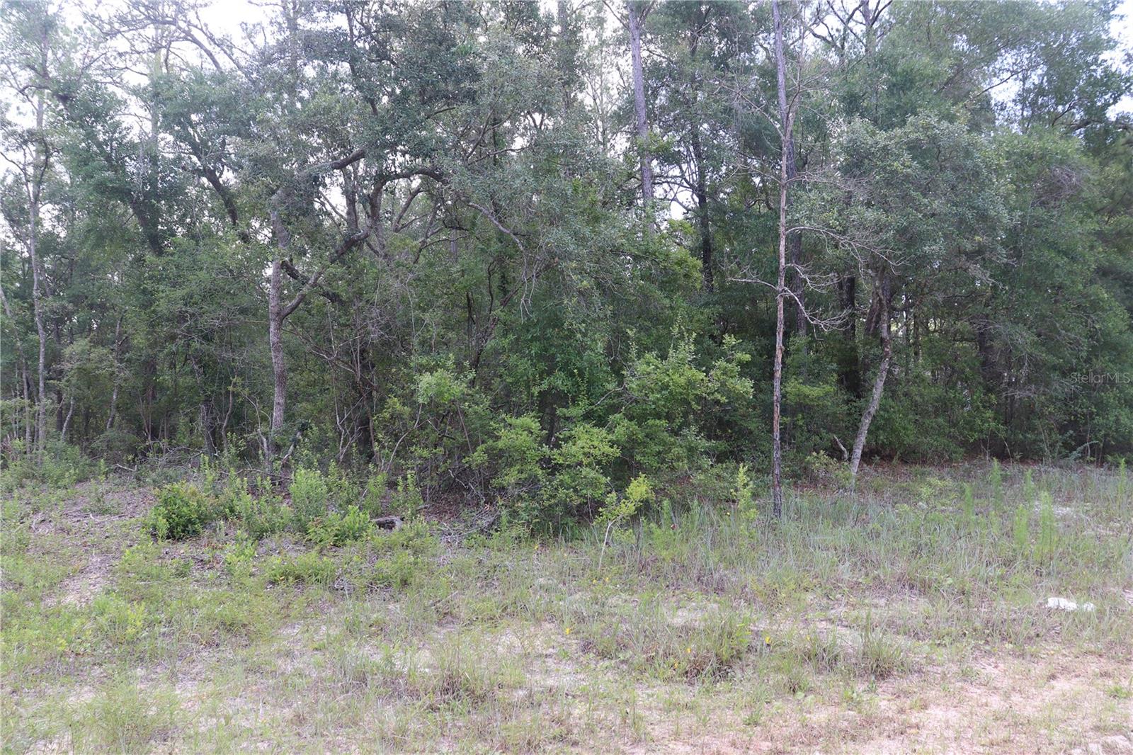 653 Vercelli Lane, FL