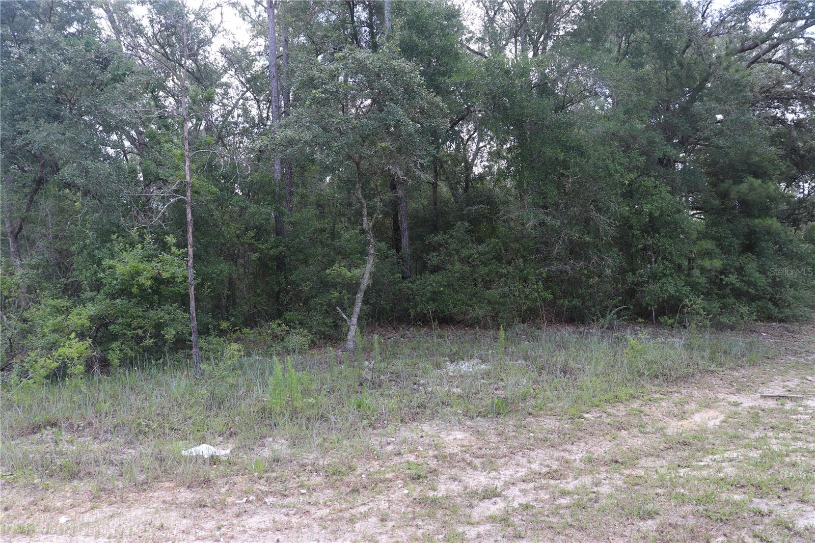 653 Vercelli Lane, FL