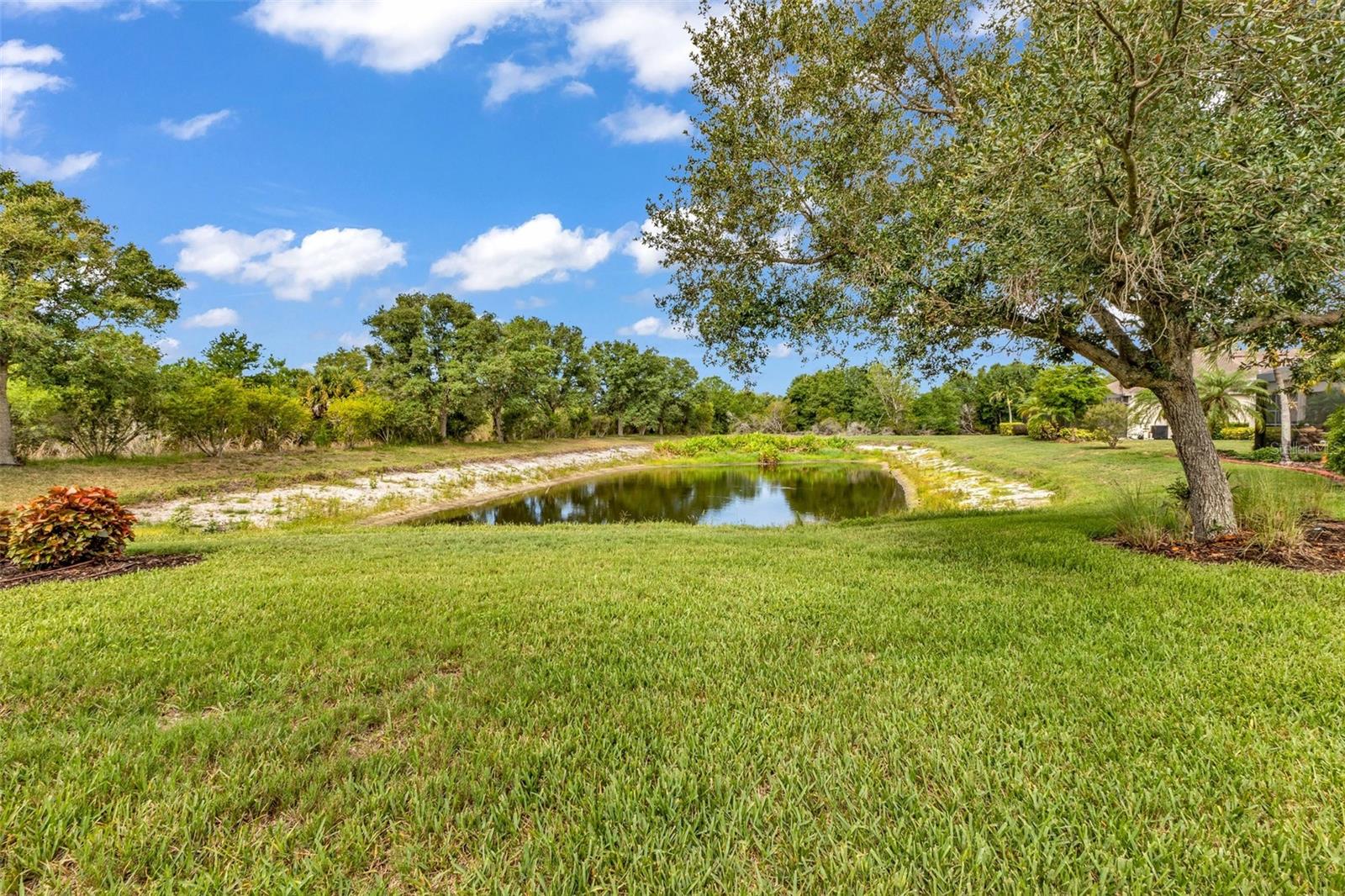 2205 Terracina Drive, FL