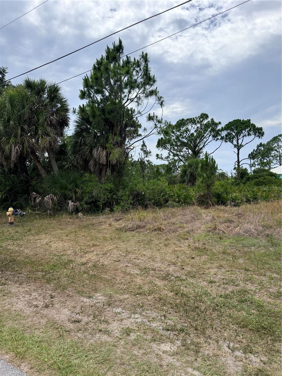 110 Hardee Way, FL