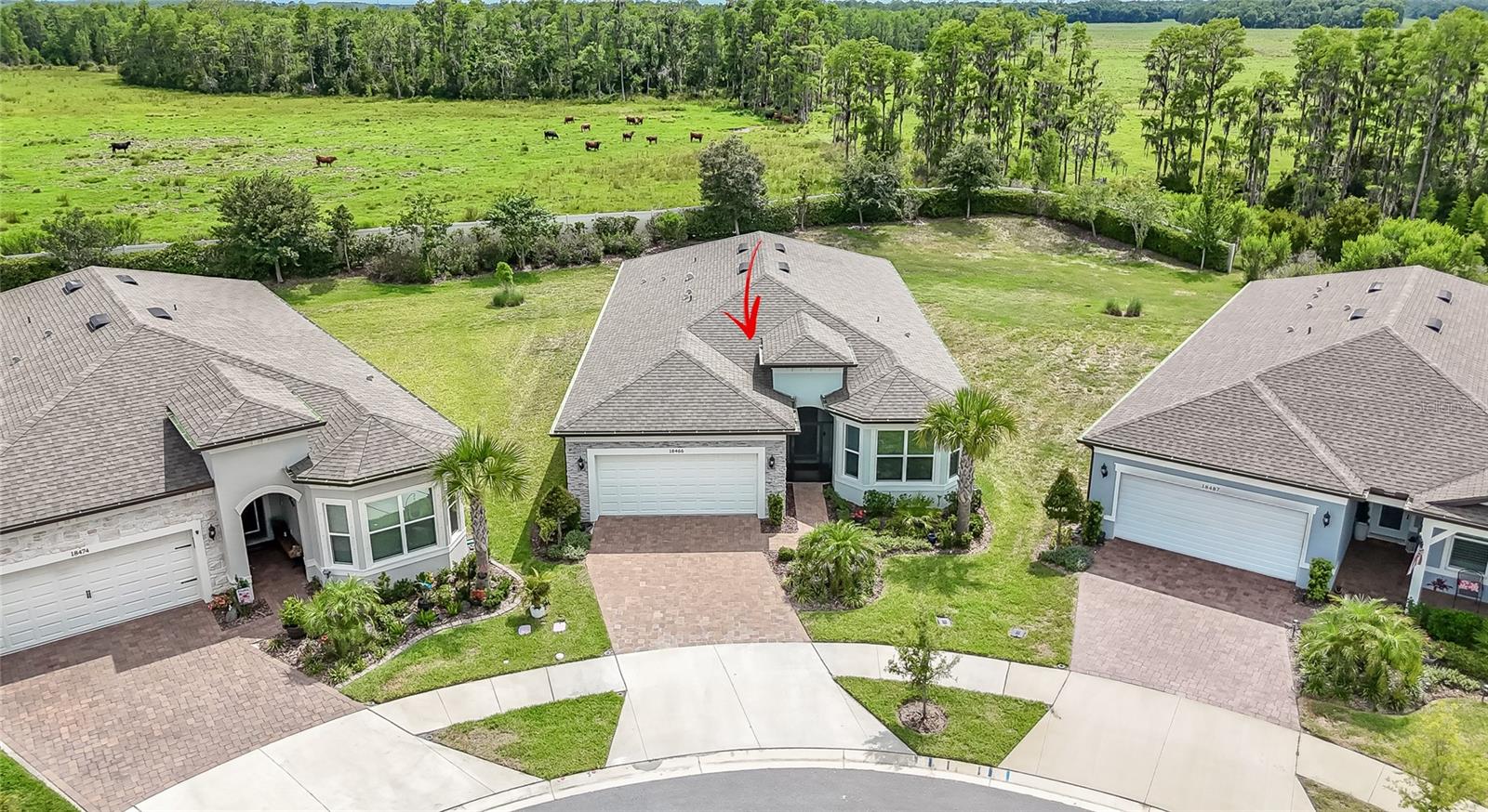 18466 Coastal Shore Terrace, FL