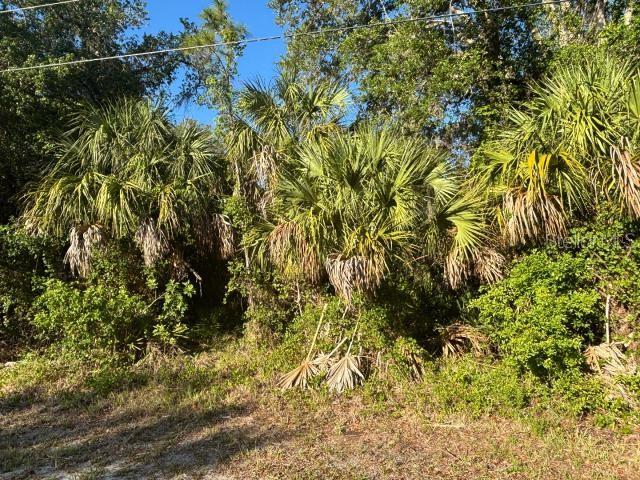 Abate Avenue, FL