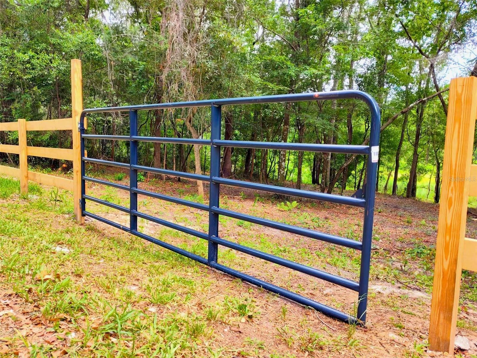 Fitzhugh Avenue, FL