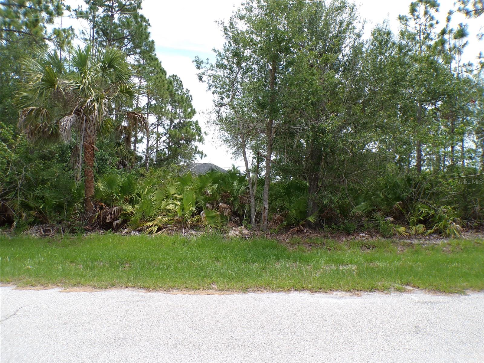 3358 Tiffiny Street, FL