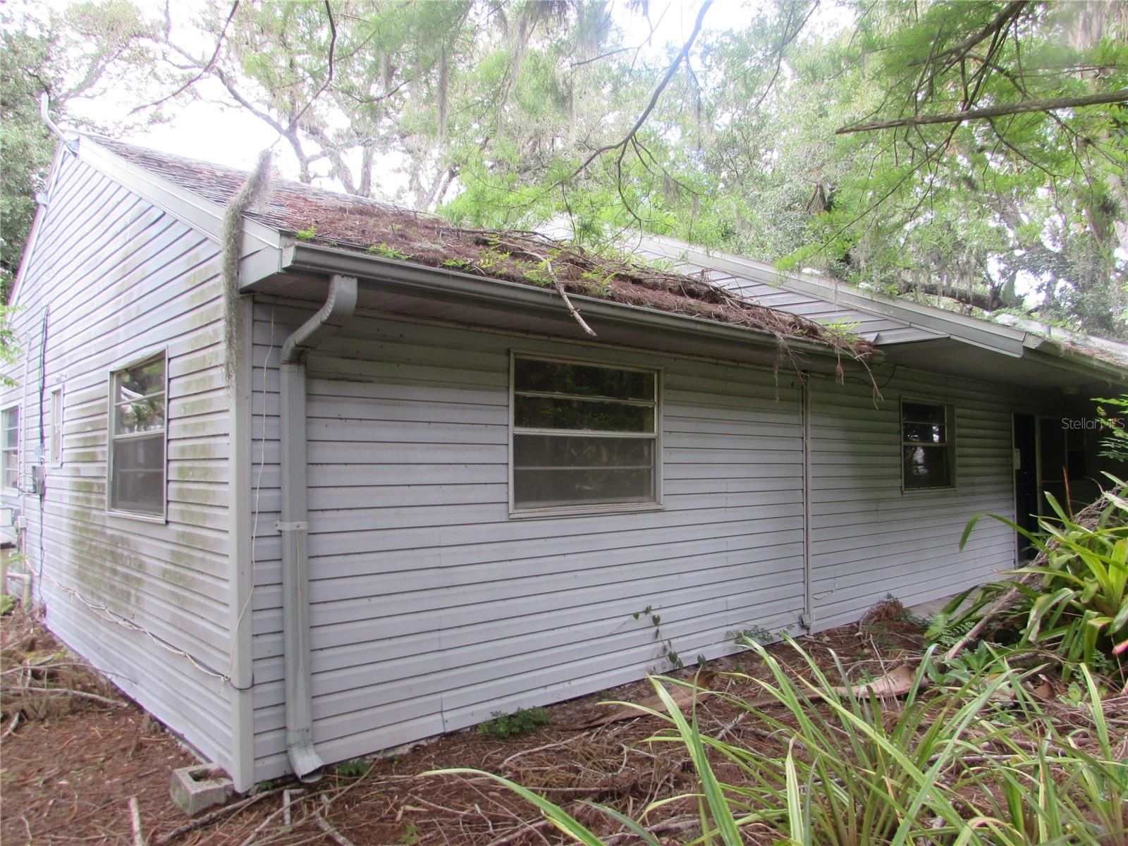 4949 Dorothy Avenue, FL