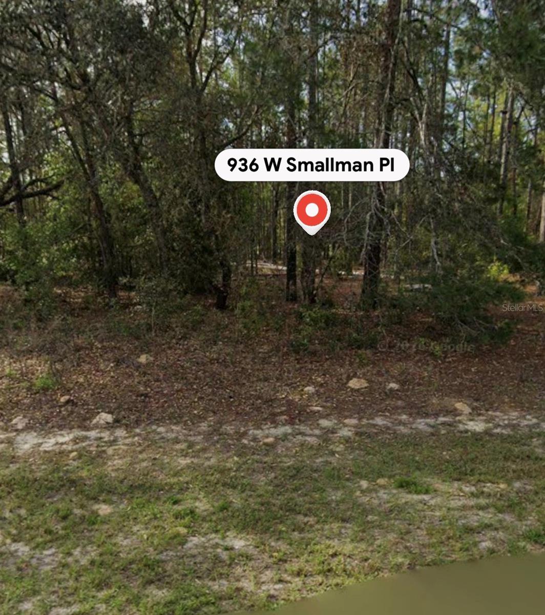 936 Smallman Place, FL