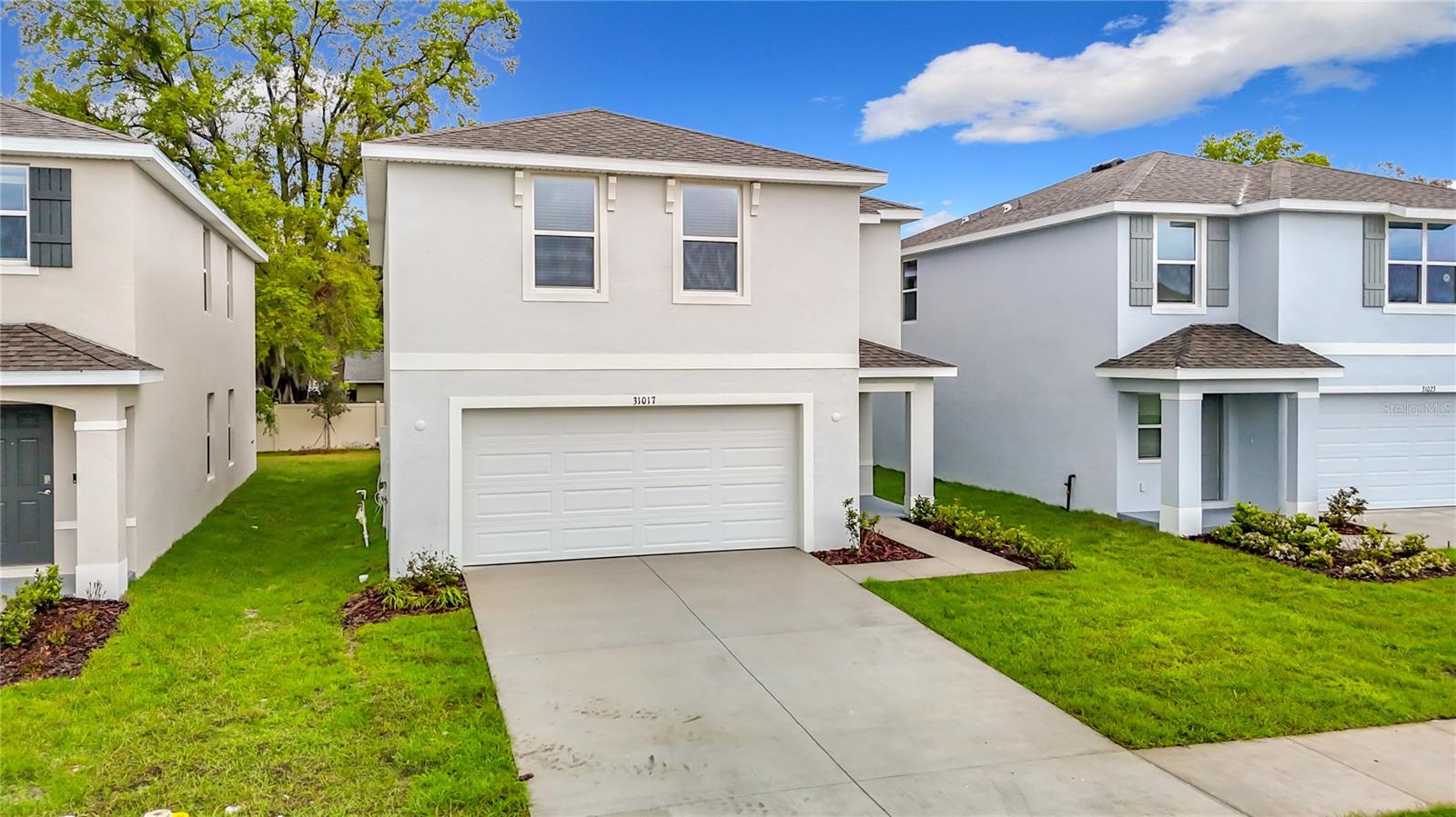 31017 Silver Stage Drive, FL