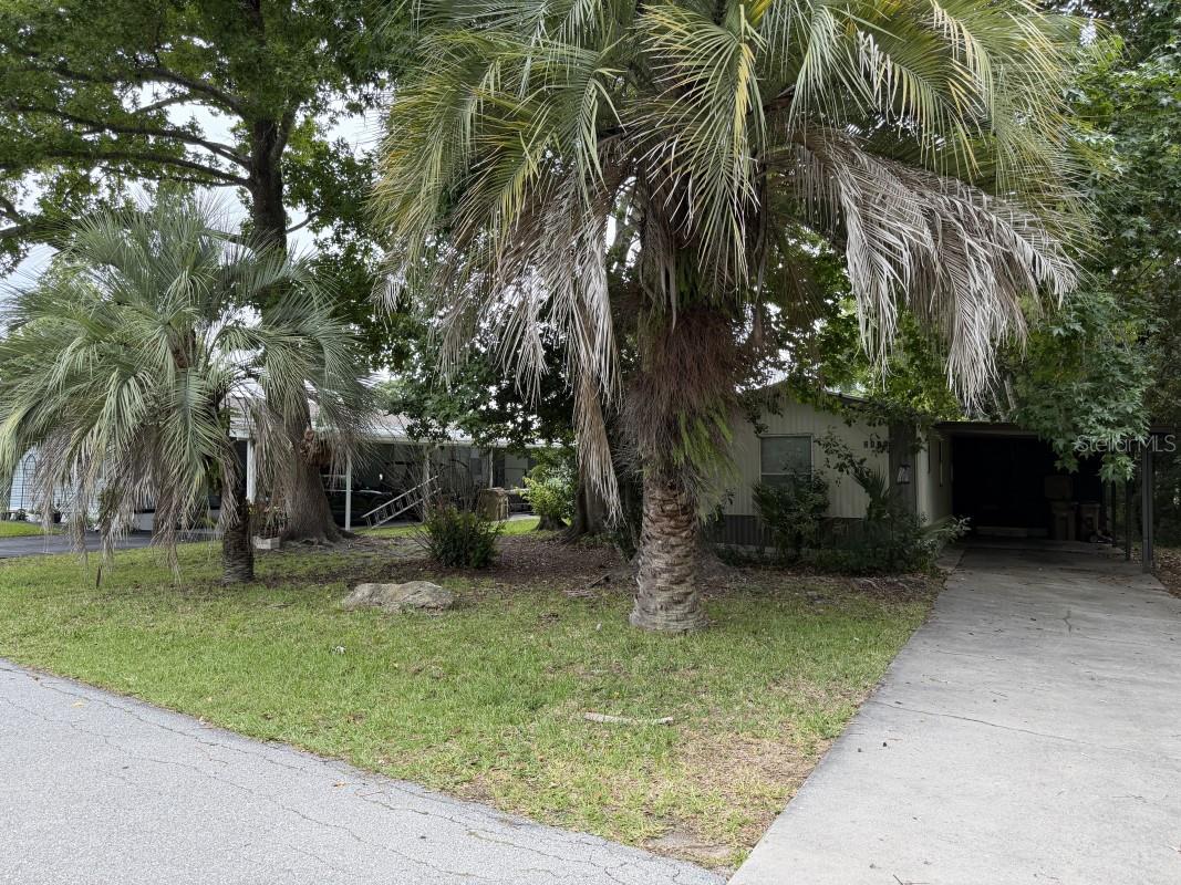 2418 Dora Pines Road, FL