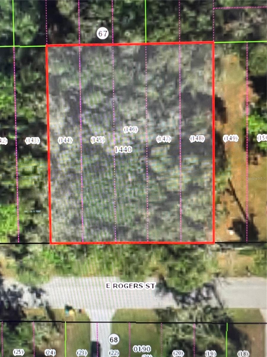 3419 Rogers Street, FL
