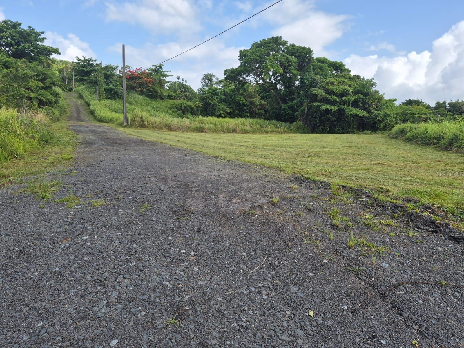 Pr 956 Km 8.8 Sector Los Medinas Bo Guzman Arriba, PR