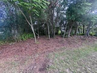 3253 Sardinia Terrace, FL
