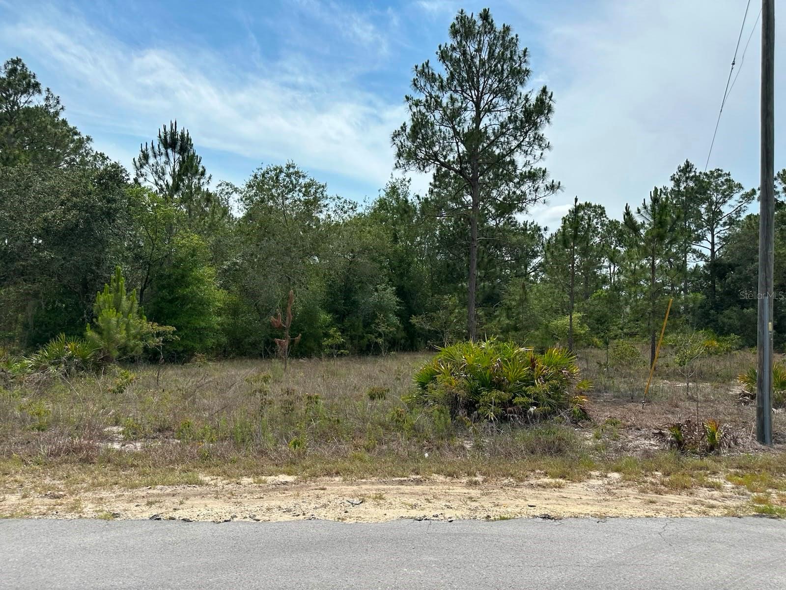 00 South Haven Court, FL
