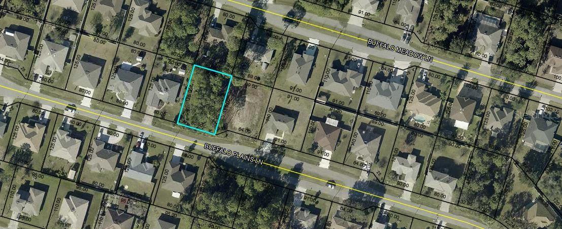 18 Buffalo Plains Lane, FL
