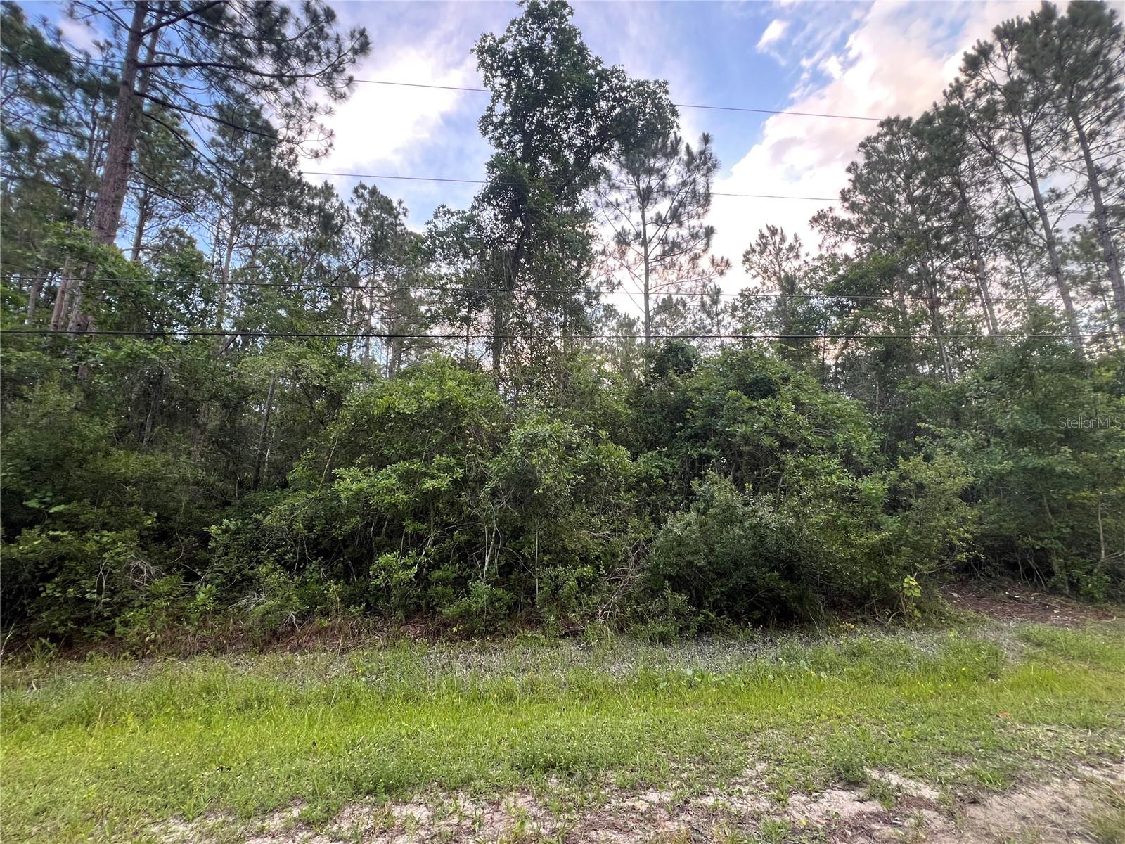 1411 Elder Street, FL