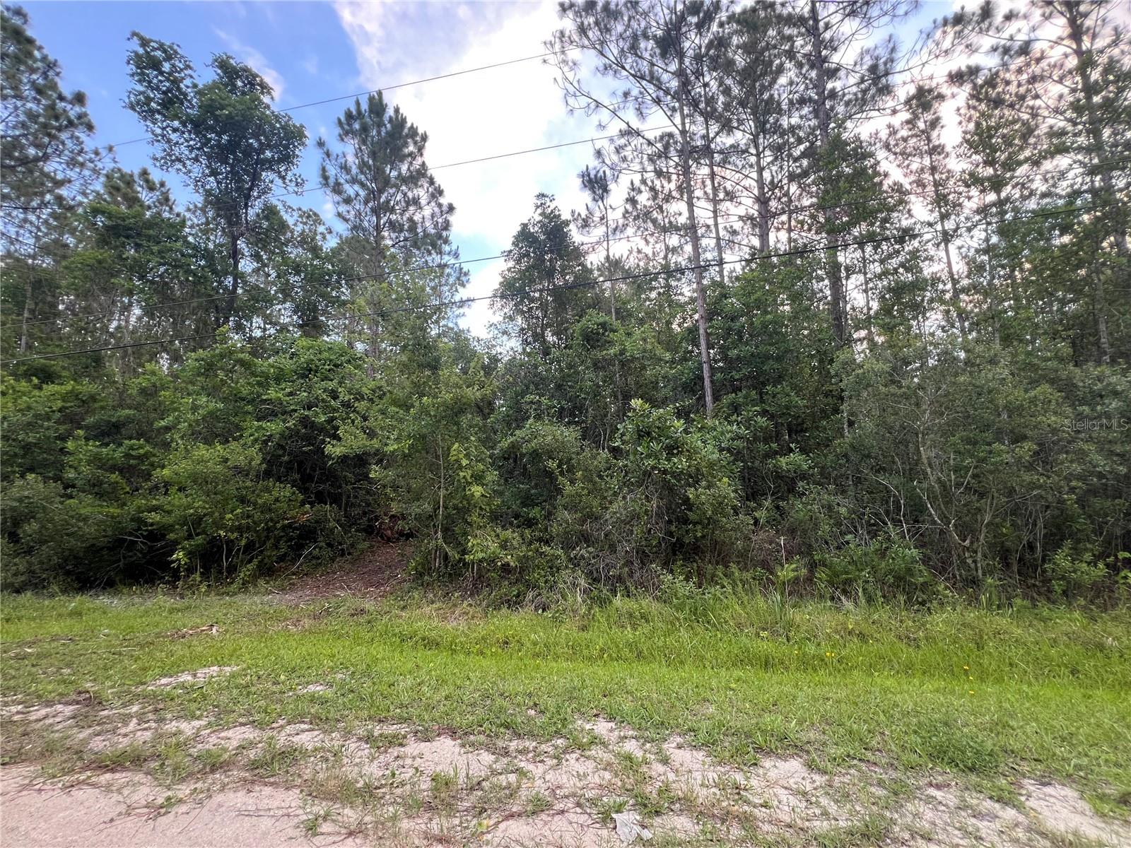 1411 Elder Street, FL