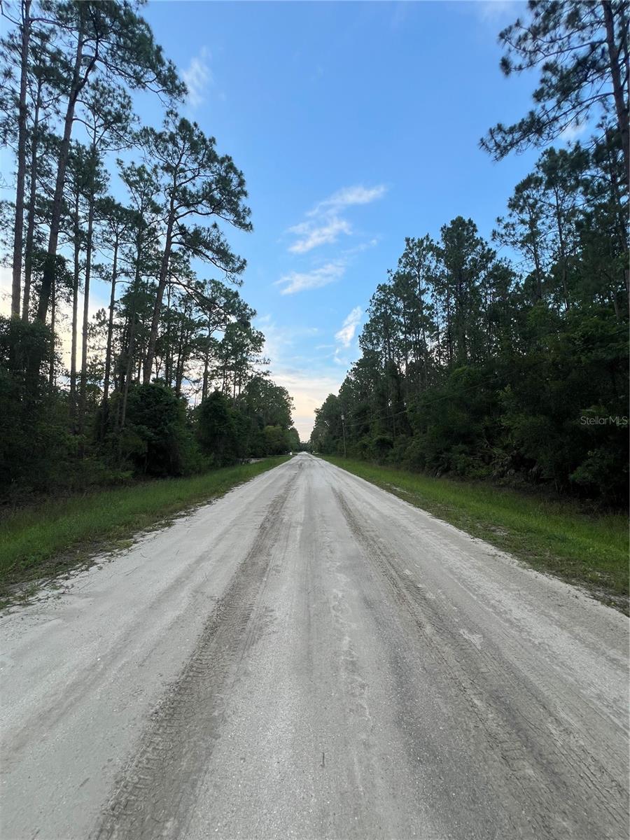 1411 Elder Street, FL