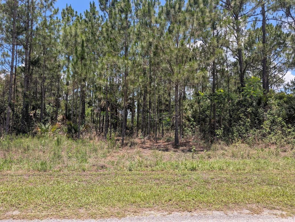 7 Avocado Drive, FL