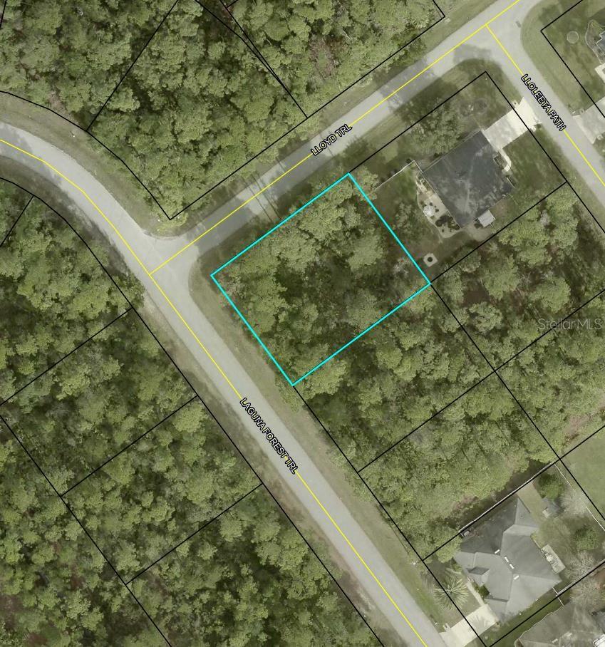 000 Laguna Forest Trail, FL