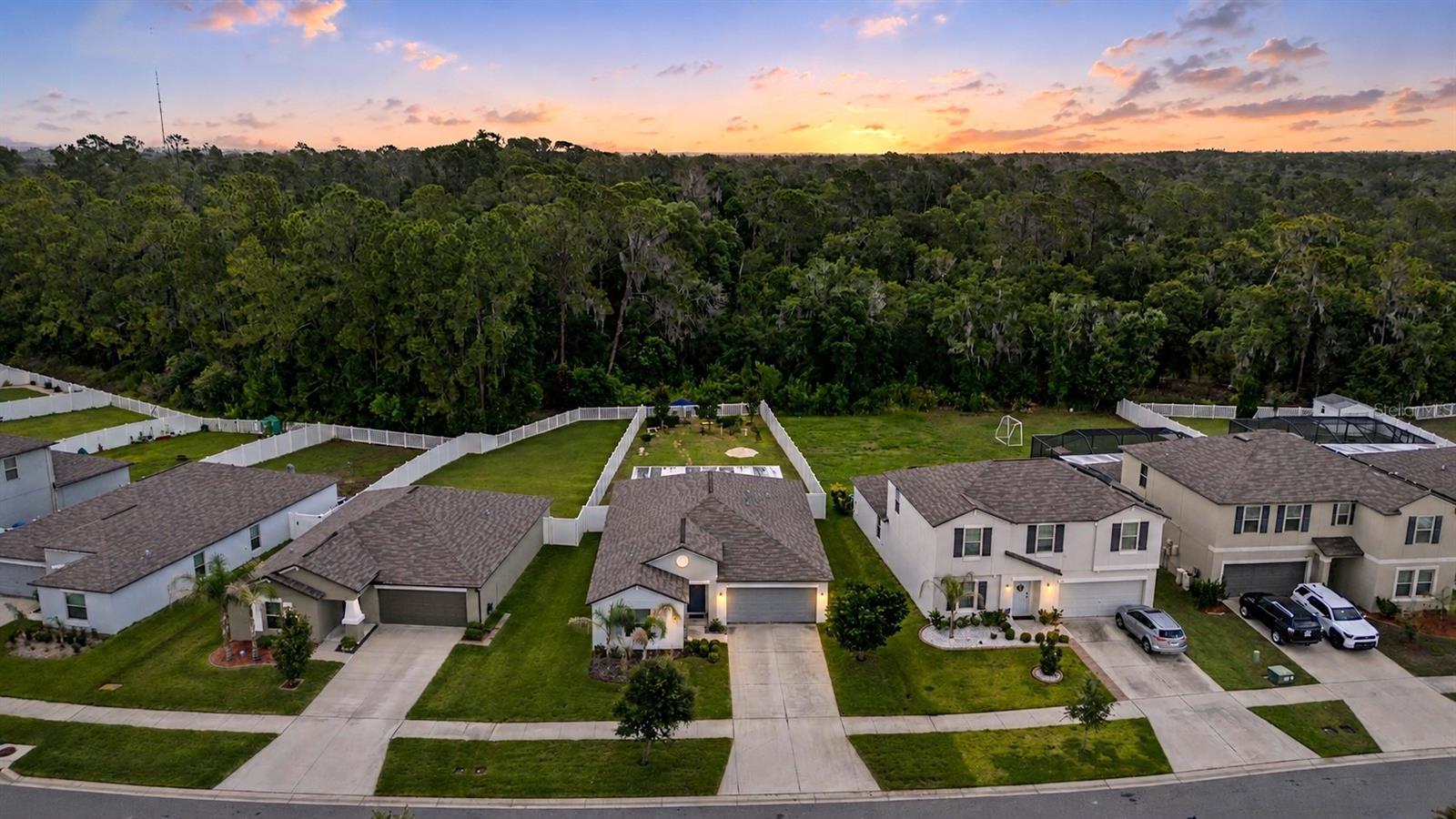 13411 Willow Bluestar Loop, FL