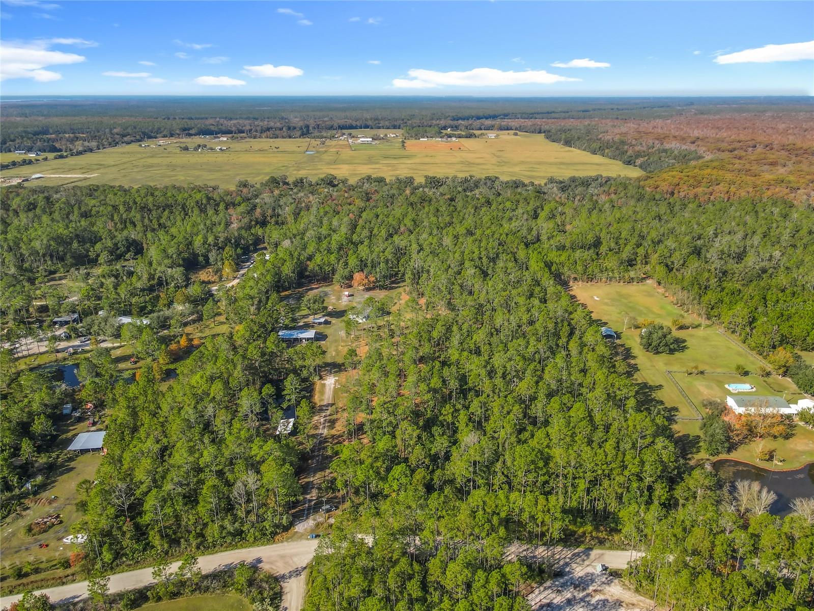 6100 Winning Wood Trail, FL