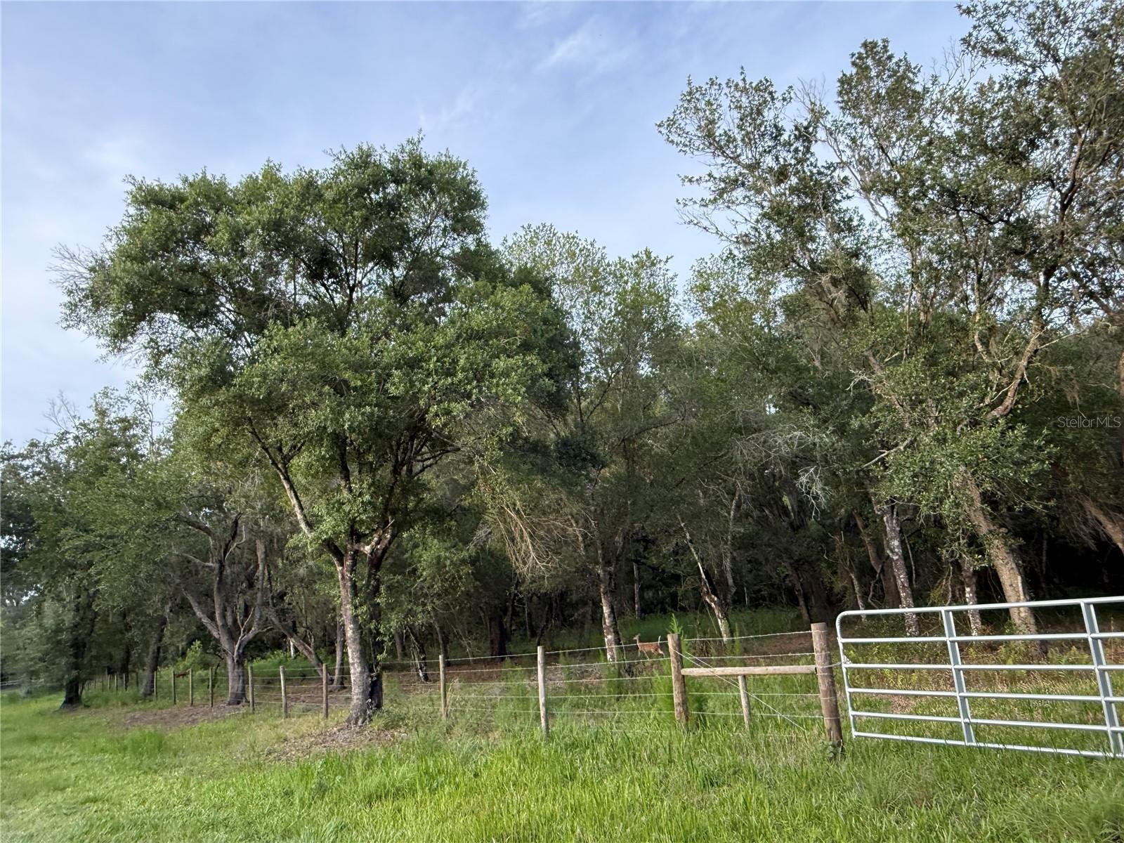 Se Brown Road, FL