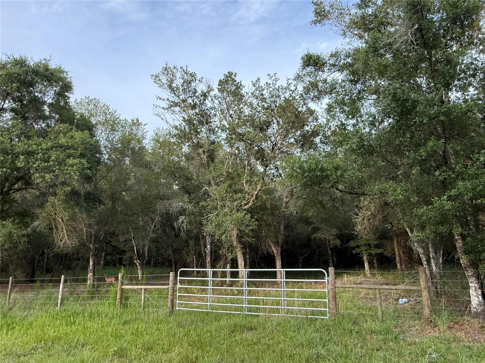 Se Brown Road, FL