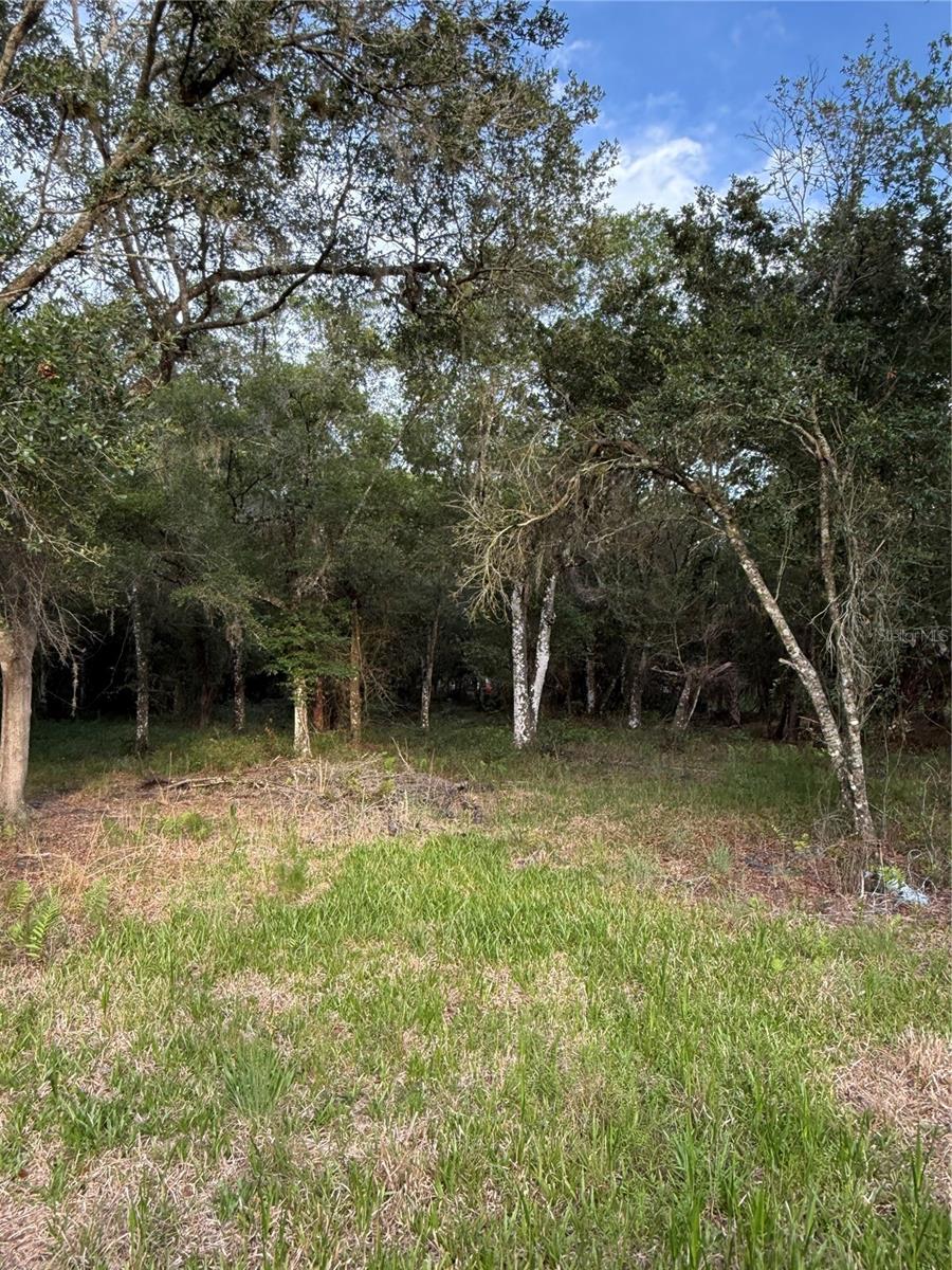 Se Brown Road, FL