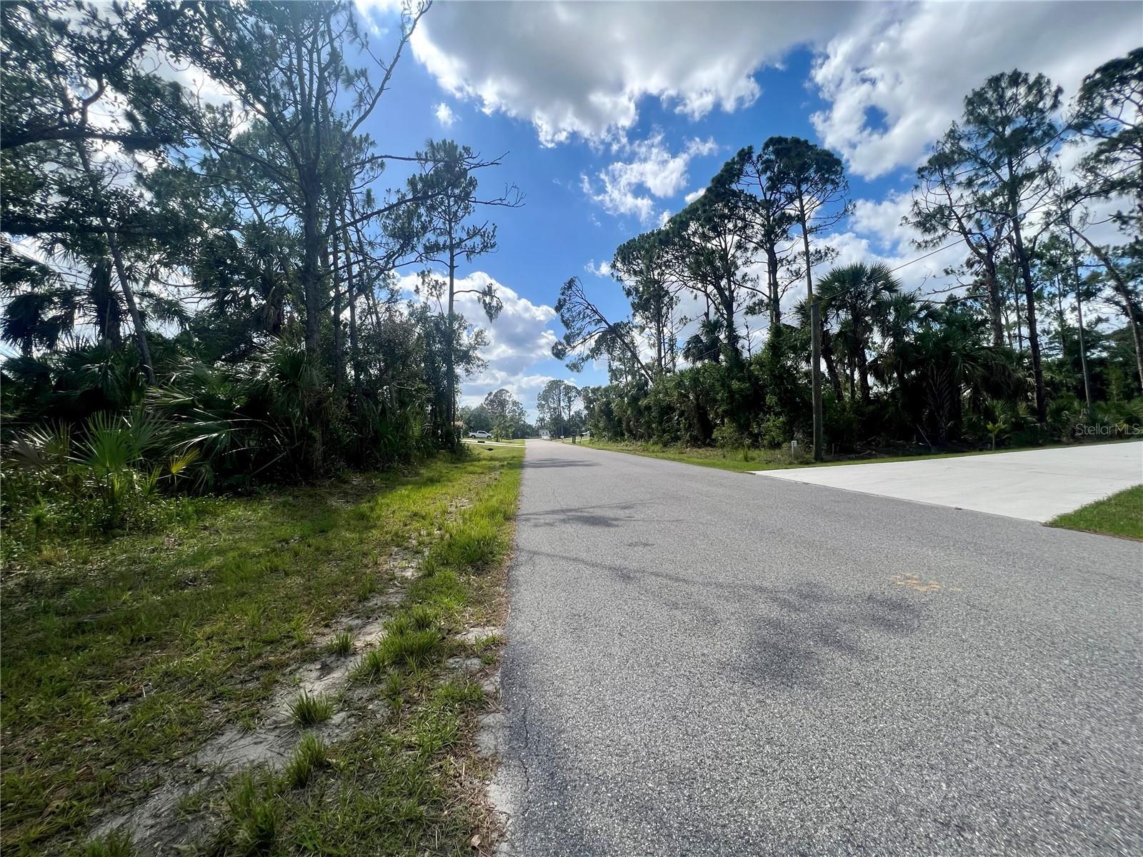 Vizza Lane, FL