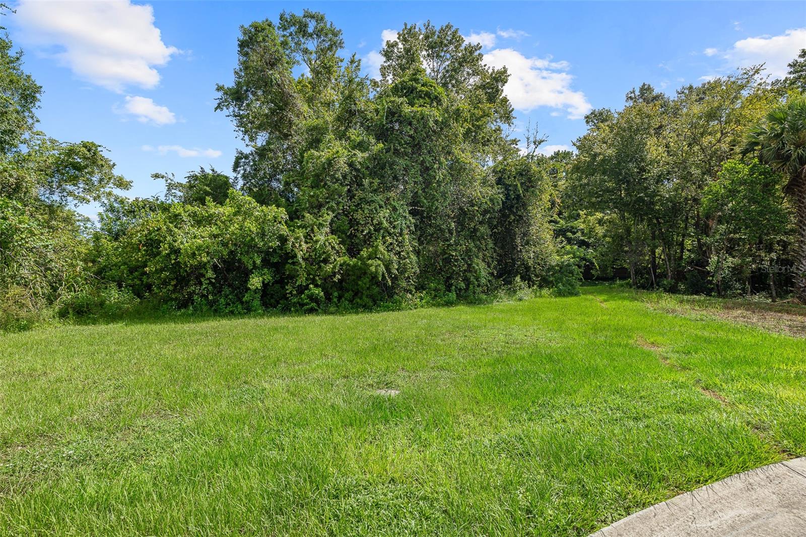 1082 Yaupon Street, FL