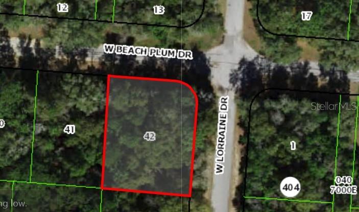 1920 Beach Plum Drive, FL