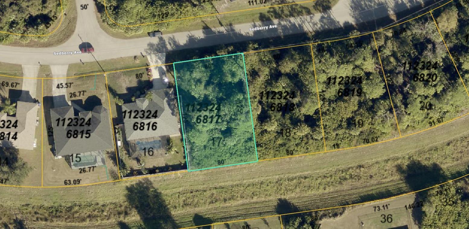 1123246817 Sedberry Avenue, FL