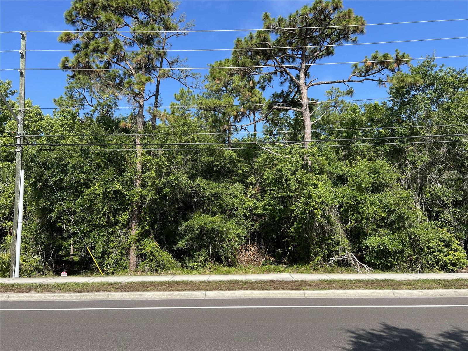 2322-2328 Rouse Road, FL