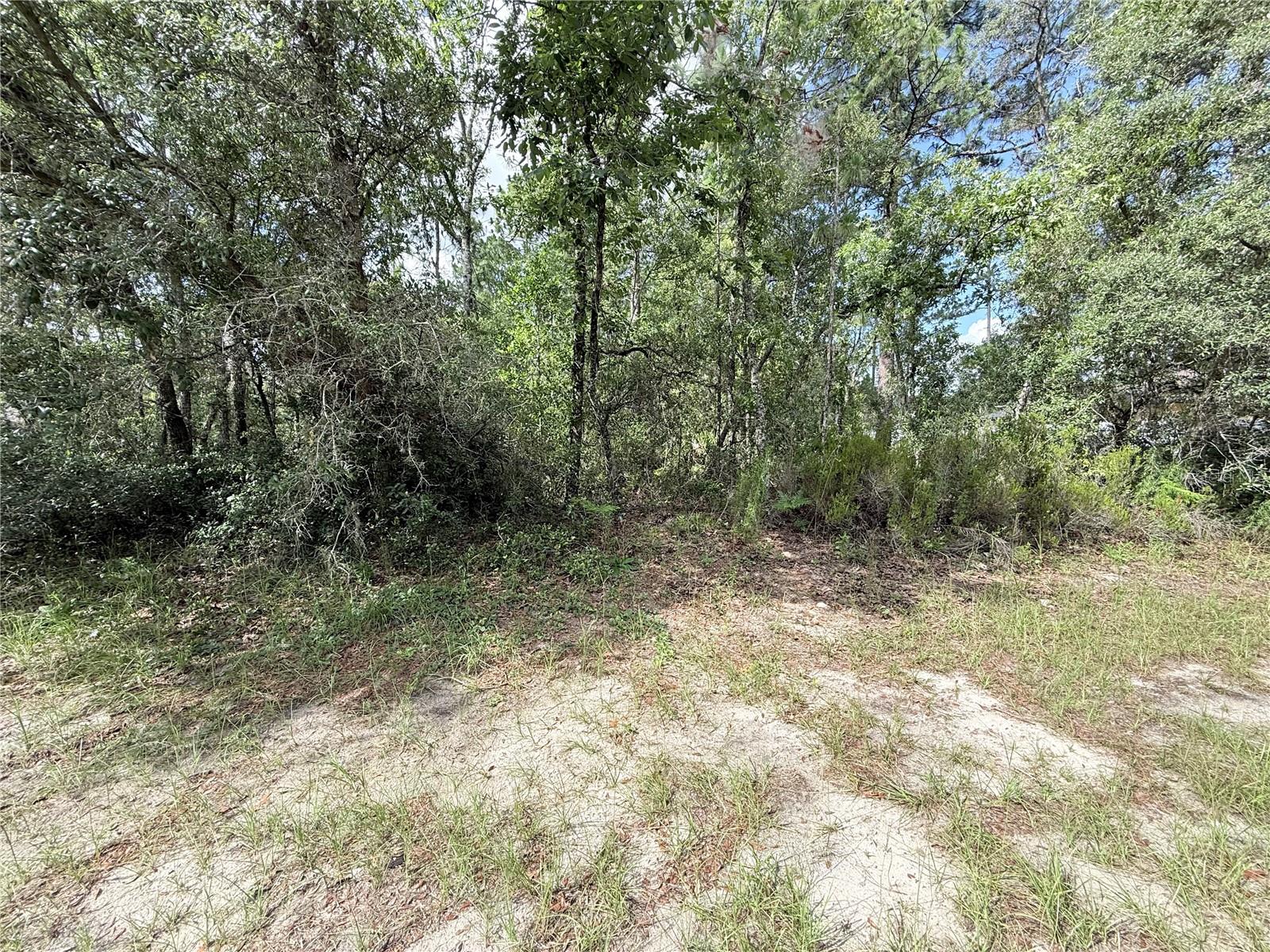 Tbd 65th Avenue Road, FL