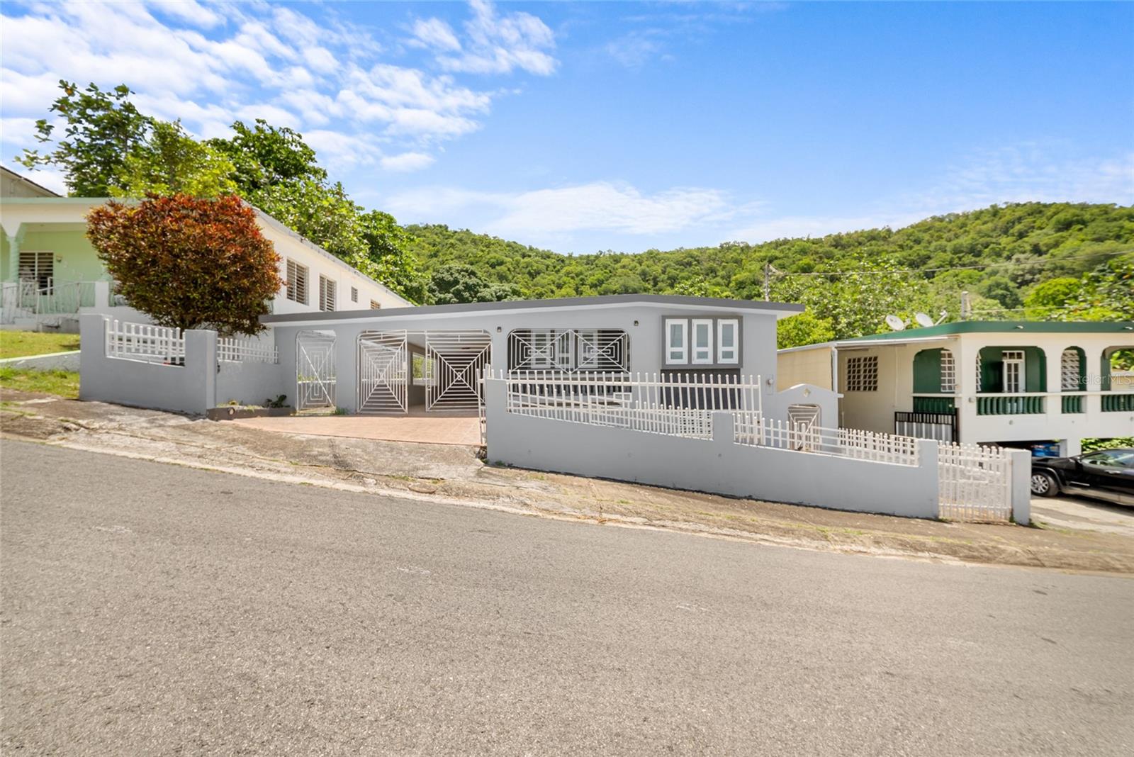 214 Calle Jose Gautier Parcelas MarueñO, PR